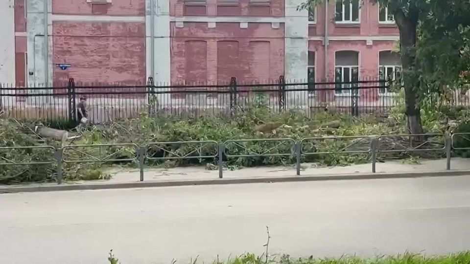   :            