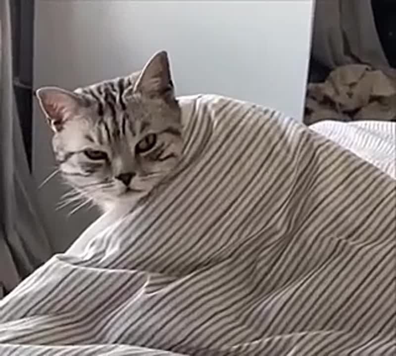  !.    ?    ? -   