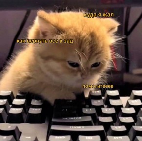     telegram-