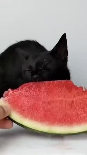 !