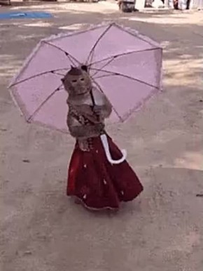 &quot;      &quot;:     
