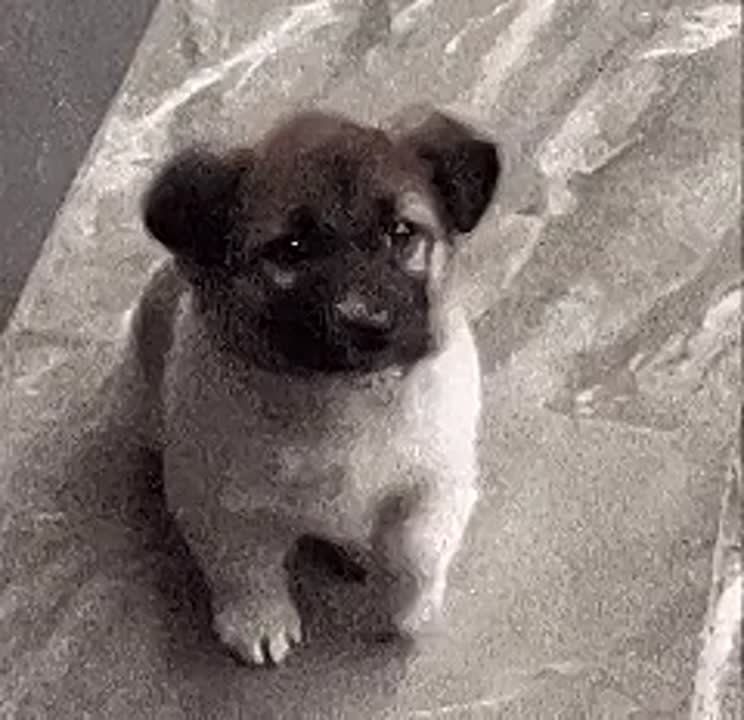 Сегодня День дарения подарков