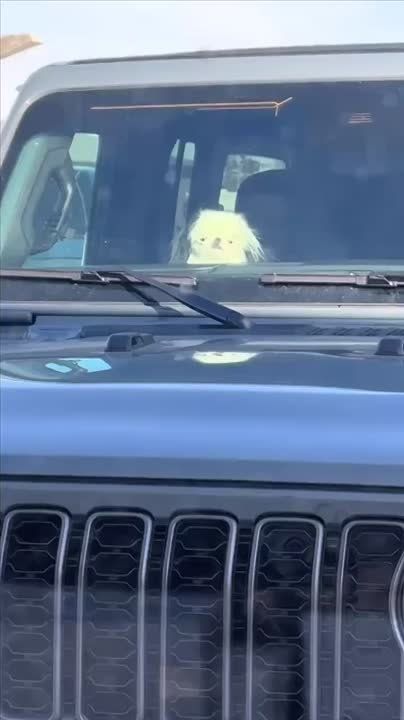    ).   !)