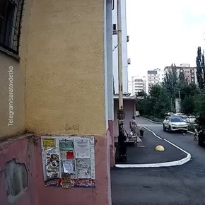   -        ,   