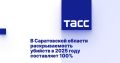 Раскрываемость убийств за первую половину 2025 года в Саратовской области составляет 100%