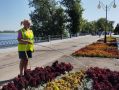 МКУ Озеленение. Итоги дня | 29.07.2025