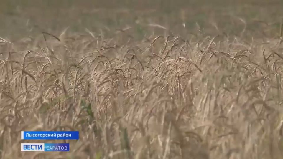 В Саратовской области увеличат квоты на добычу охотресурсов