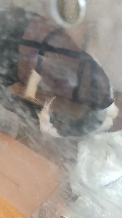  - :   