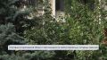 Доброе утро. Начинаем день с самого первого выпуска «Вестей»