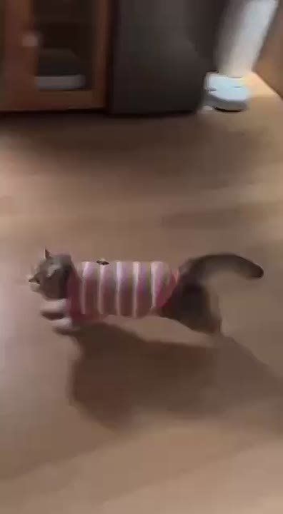 ,     ?)