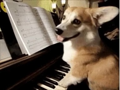  1       ,      