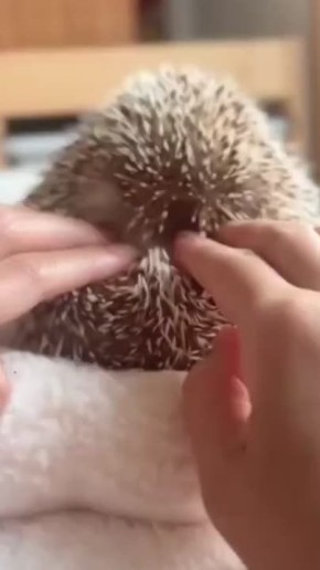  !.      !