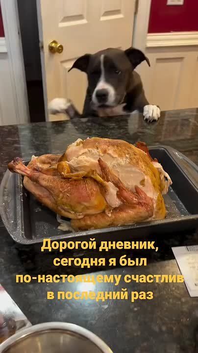  ,   &quot;&quot;   