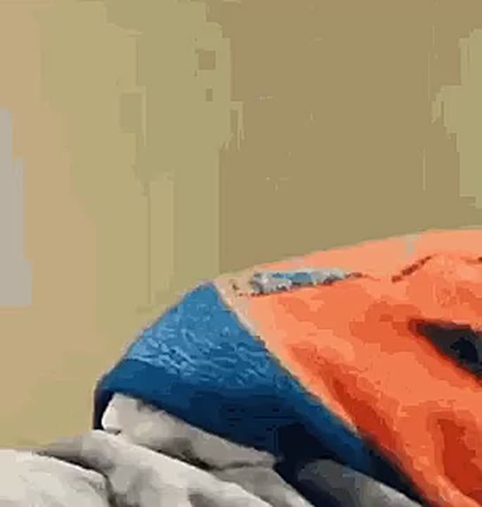   :  ,    