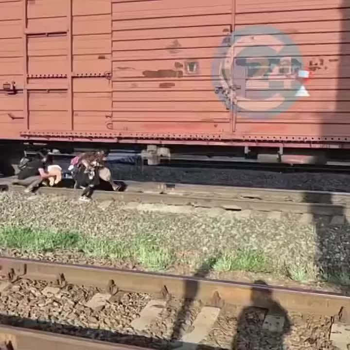         / ,    ,   