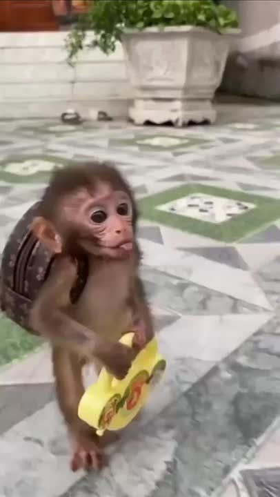   )
