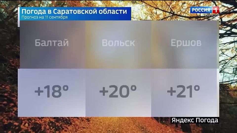  11 