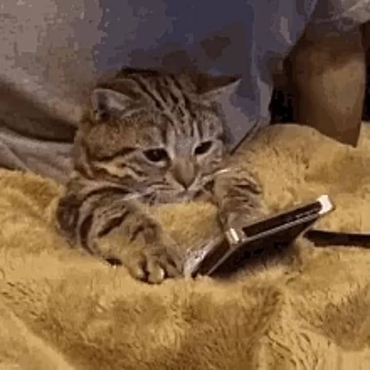 ,   ,    -   !     , ,      