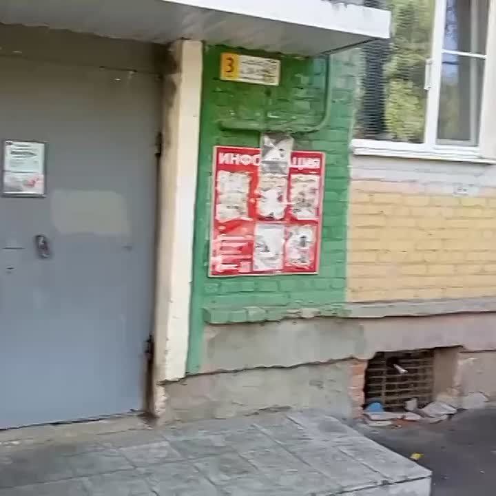          .     ,   50        13    , 113  .    ...