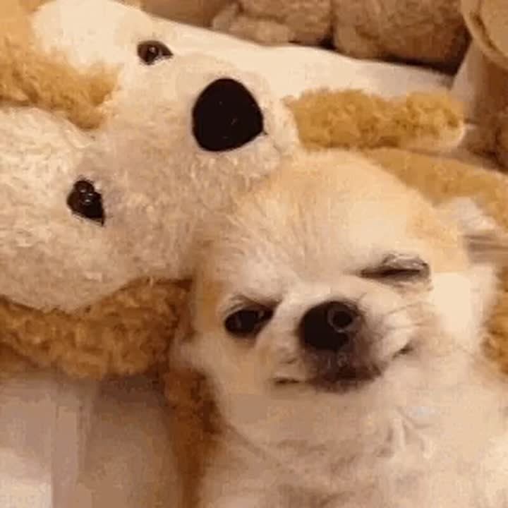 ,   ,    -   !     , ,      