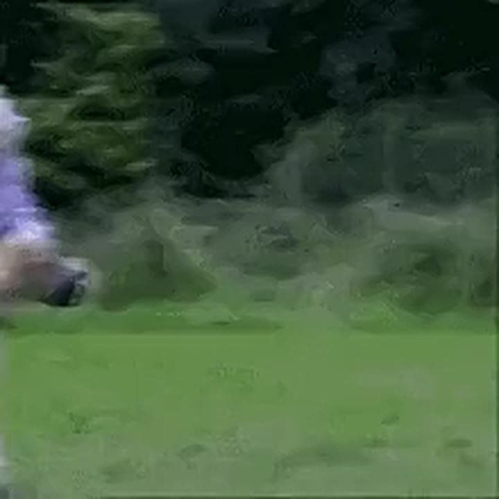    :      