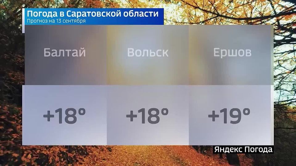  13 