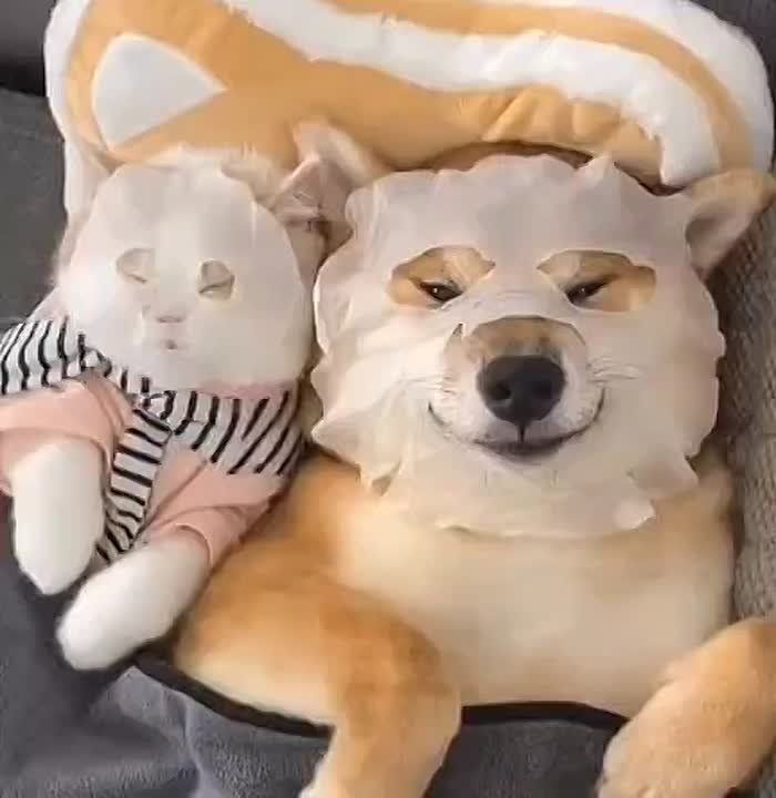  !    ?