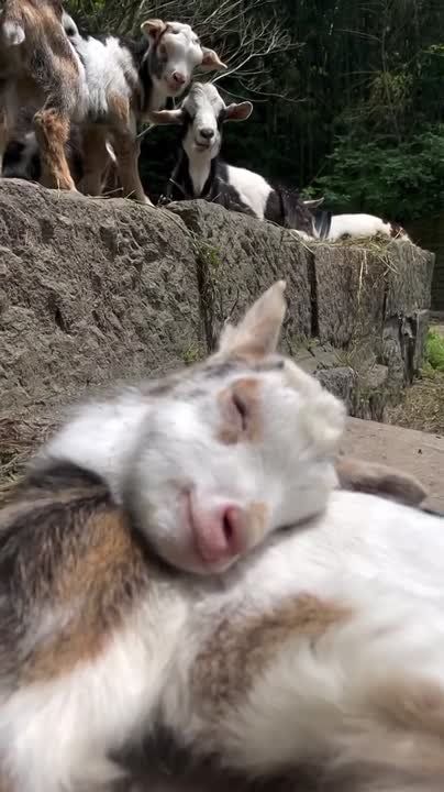 , , )    !
