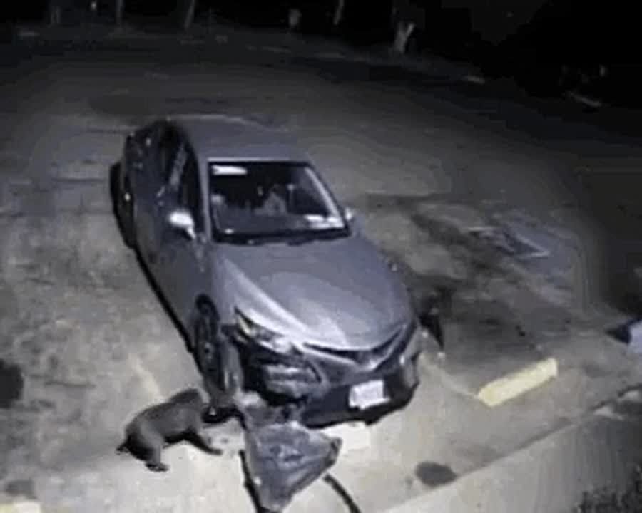       &quot;&quot;
