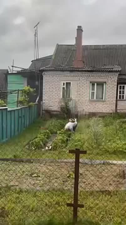 , , !