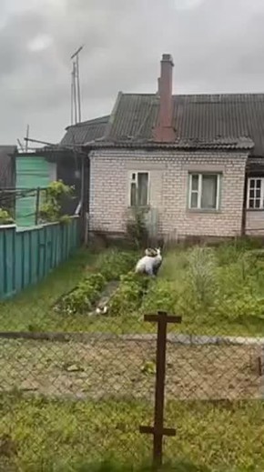 , , !