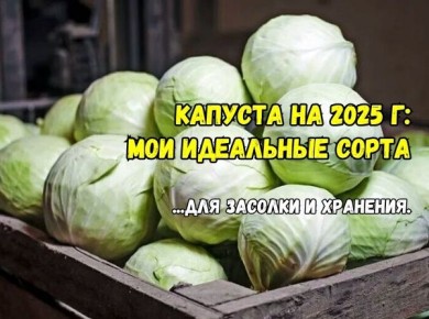    ,     2025 