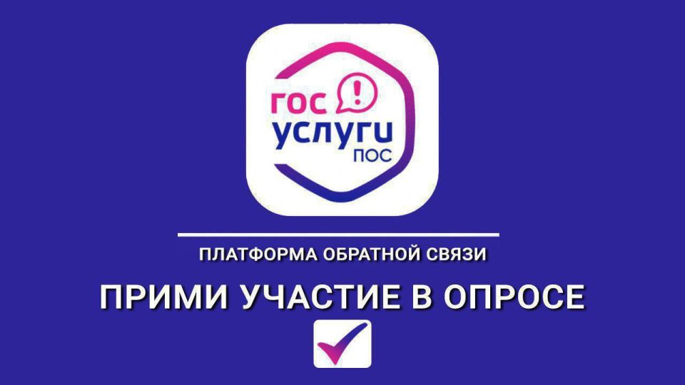     ()     &quot;        &quot;,     ,    