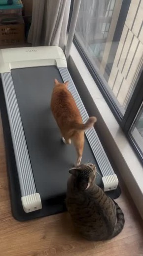 ,    