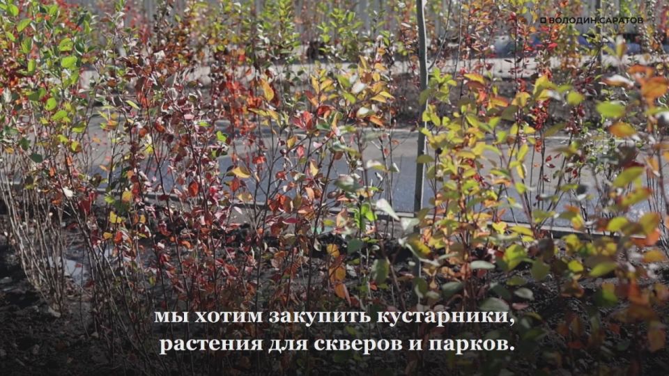    :   