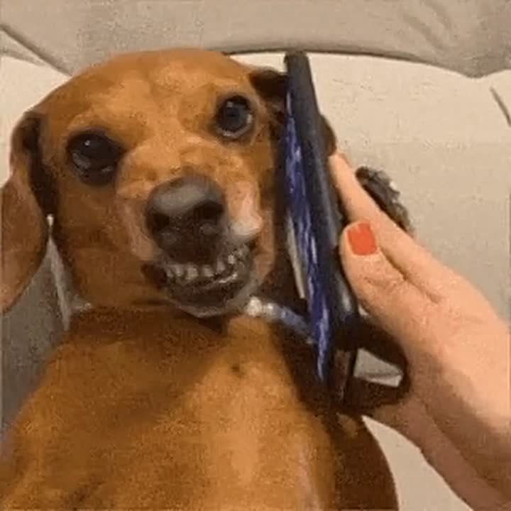    :            
