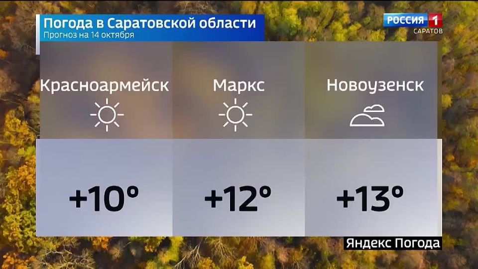  14 