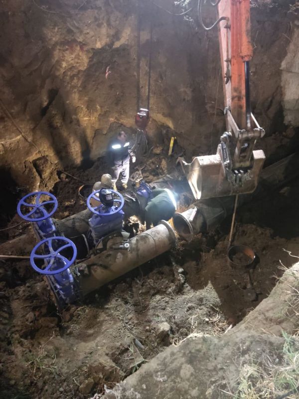       d1000    d500   .   . 