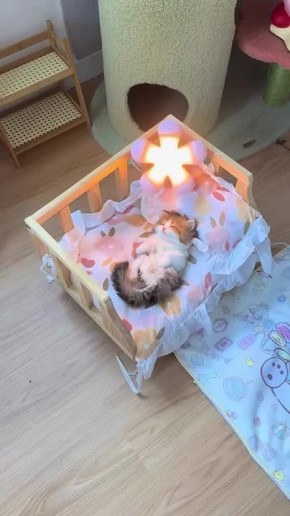  !   ,        ,   ?