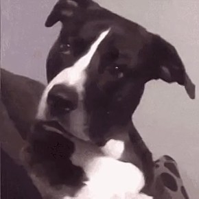 12   :      