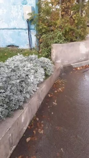 На набережной Саратова уже неделю вода размывает подпорную стену