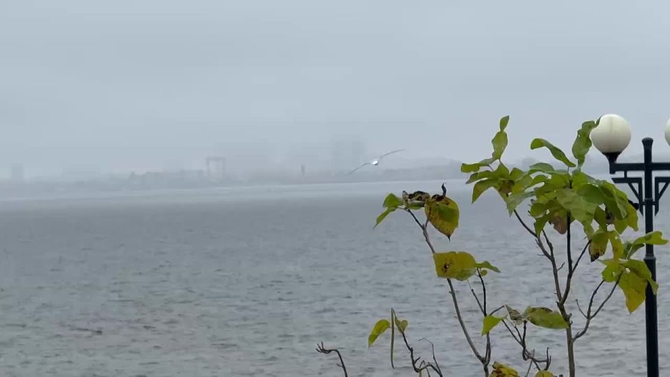 Утро на набережной обладает особой магией