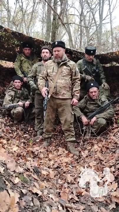 Боевой командир с передовой ответил депутату Анидалову на заявление о "несуществующих" саратовских казаках