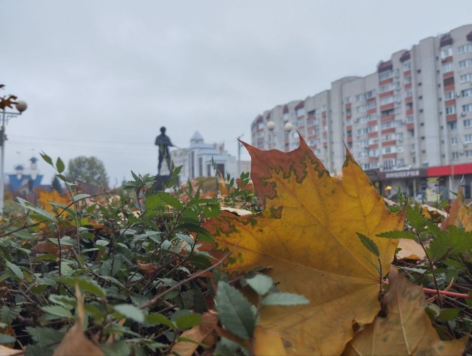 Энгельс продолжает наполняться осенней атмосферой