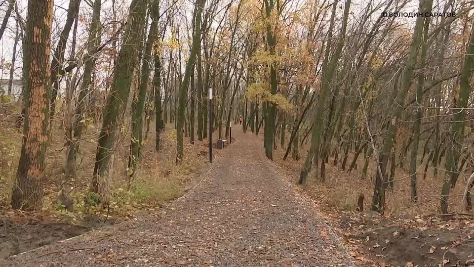 Родители школьников – Володину: с переходом на одну смену обучения мы будем довольны, а дети счастливы