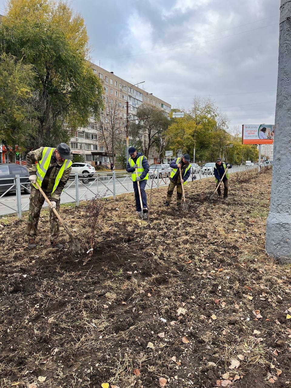 В Энгельсе продолжается осенняя высадка деревьев и кустарников В Энгельсе продолжается осенняя высадка деревьев и кустарников