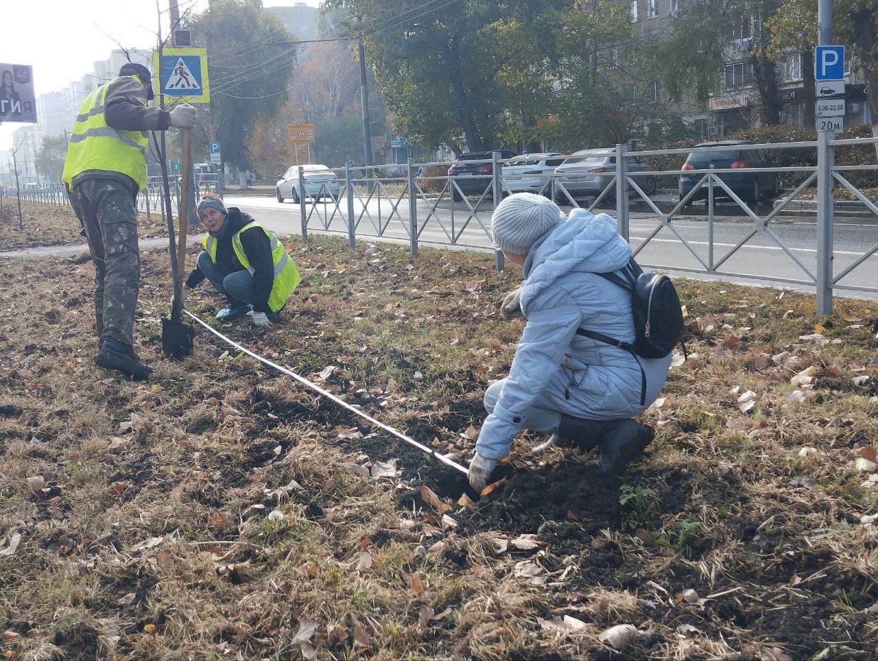 В Энгельсе продолжается осенняя высадка деревьев и кустарников В Энгельсе продолжается осенняя высадка деревьев и кустарников