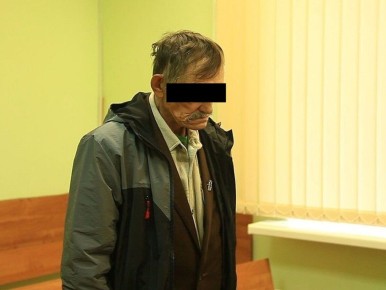 На святой земле дачника: пенсионер стал фигурантом дела за срубленную сосну