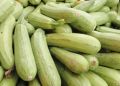 Как вырастить вкусные кабачки: секреты успешного урожая