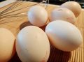 На каком масле жарить яйца, чтобы достигнуть лучшего вкуса: об этом знают не все